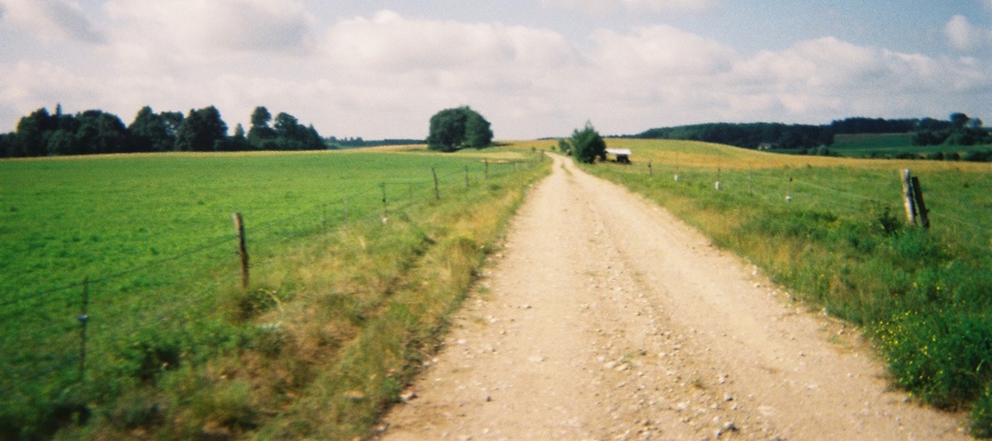 Liettualainen hiekkatie