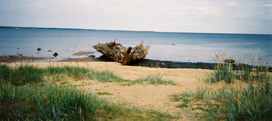 Hylky. Loksa, Viro